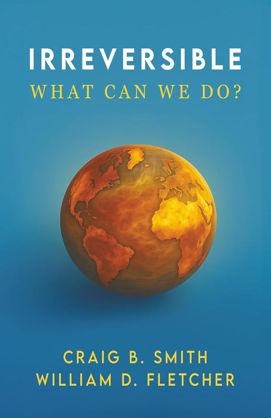 Irreversible: What Can We Do?