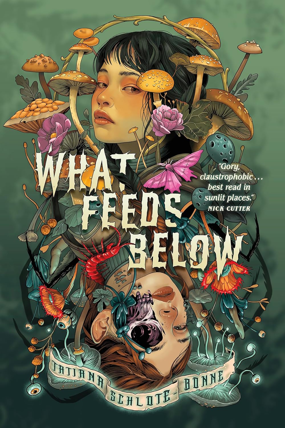What Feeds Below