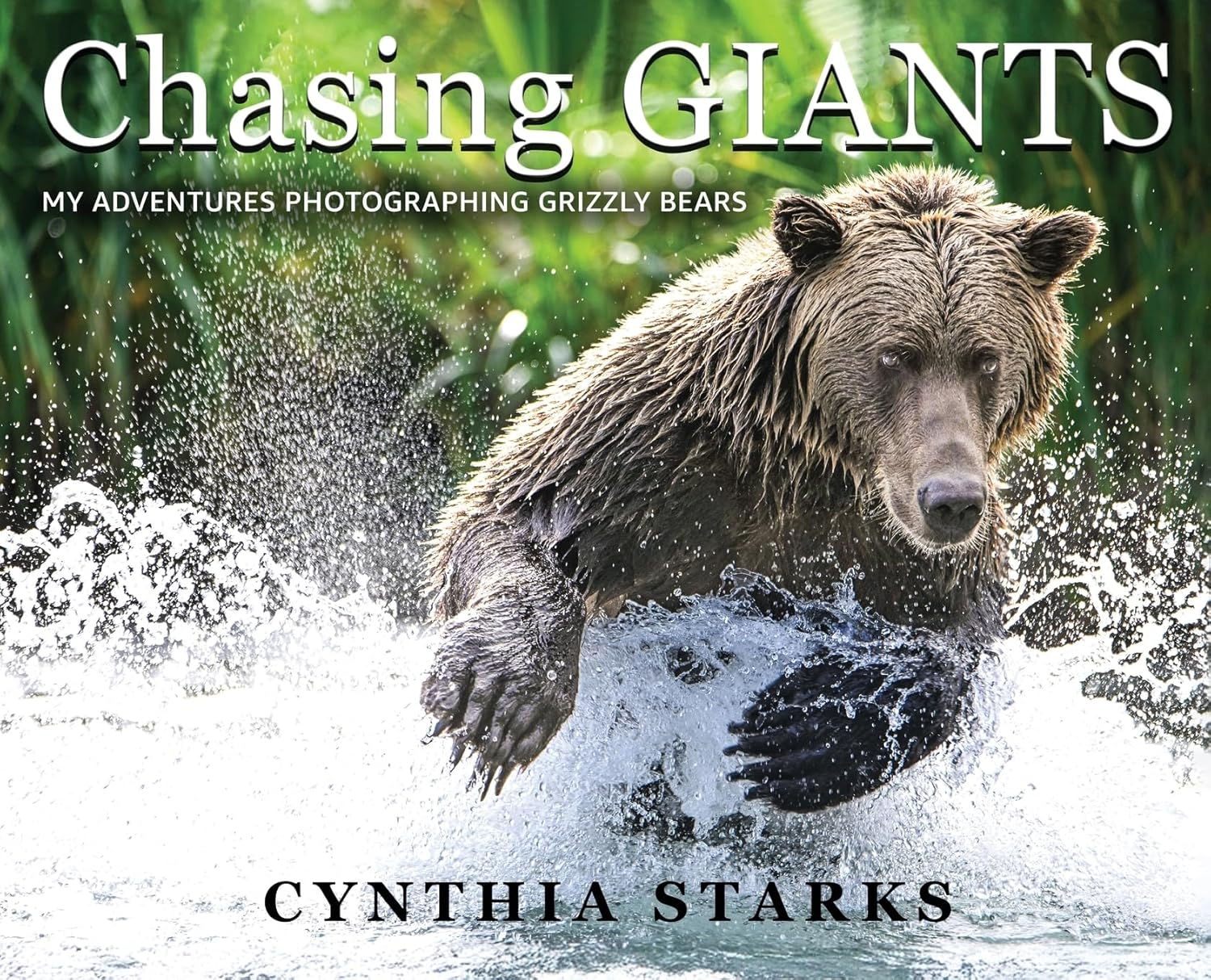 Chasing Giants: My Adventures Photographing Grizzly Bears - Volume One