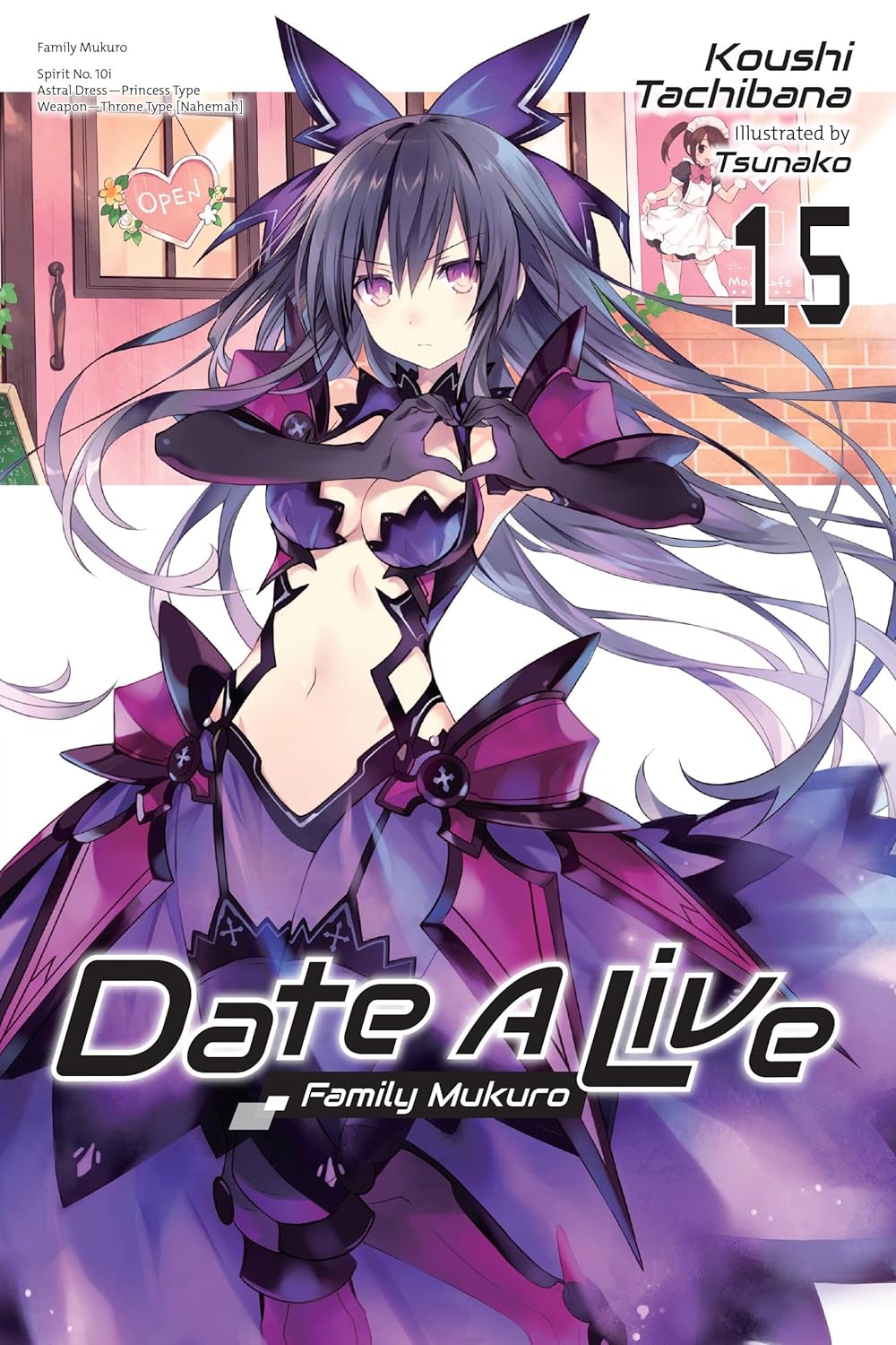 Date a Live, Vol. 15 (Light Novel)