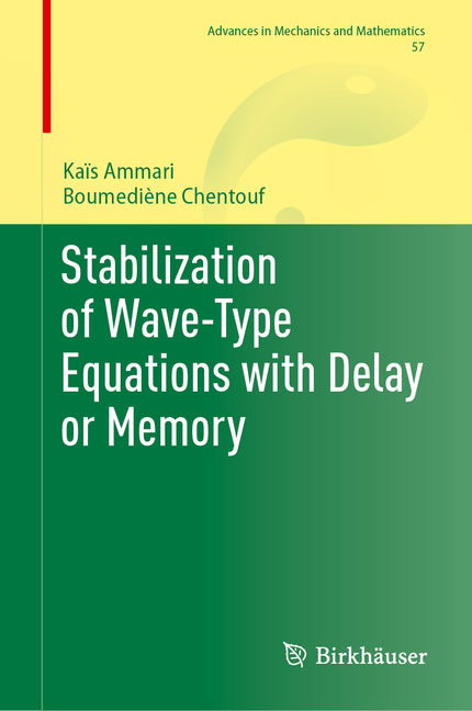 Stabilization of Wave-Type Equations with Delay or Memory