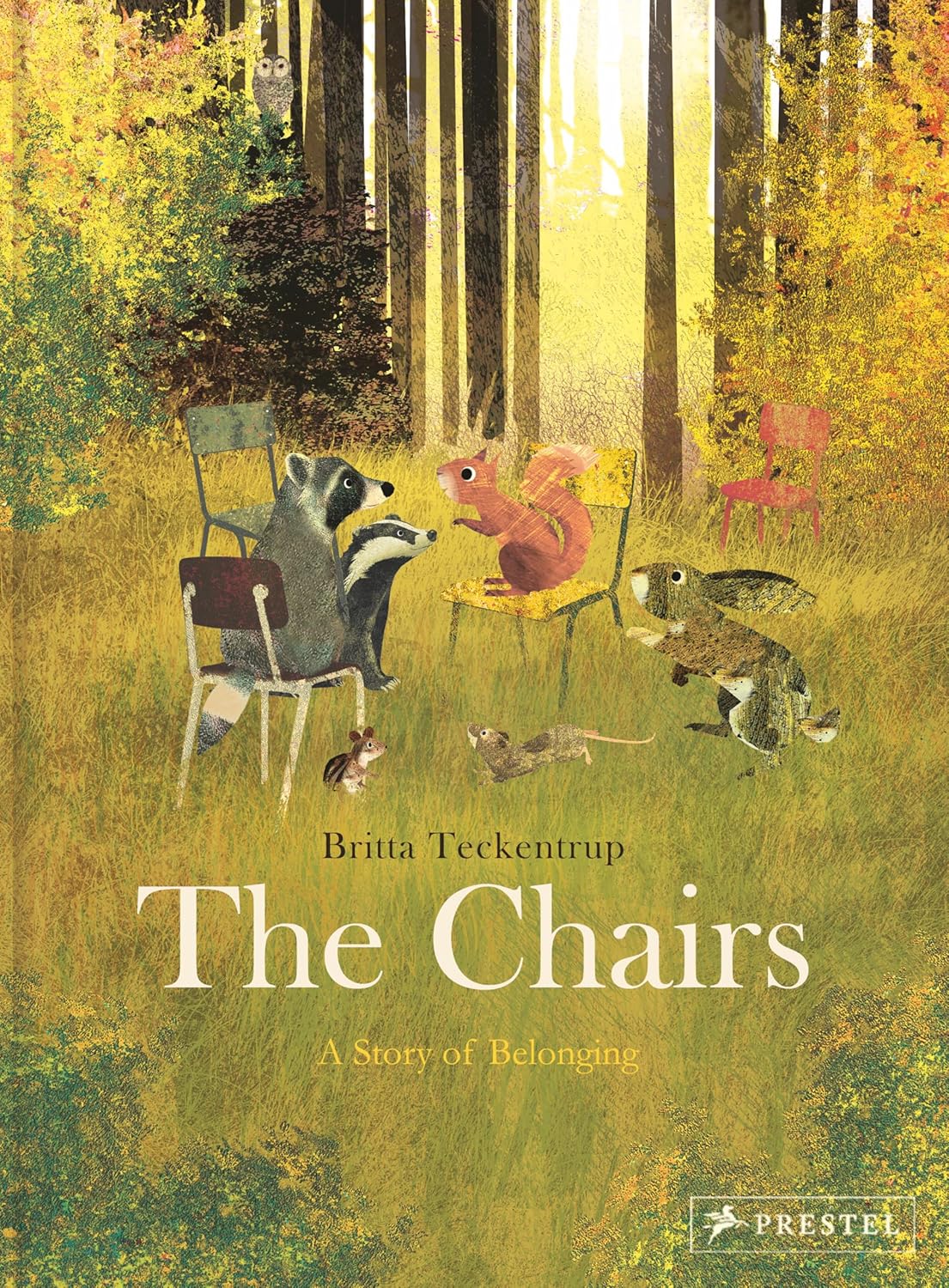 The Chairs: A Story of Belonging