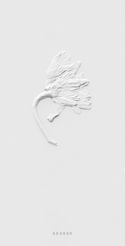 Ephemeral Field Journal: Climate + Love in Claude Monet's Garden