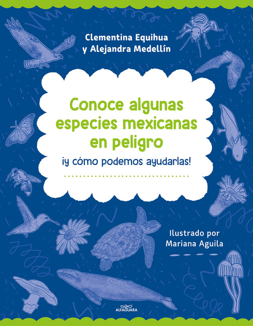 Conoce Algunas Especies Mexicanas En Peligro Y ?Lo Que Puedes Hacer Para Protegerlas! - Biodiversidad Mexicana / Discover Some Endangered Mexican