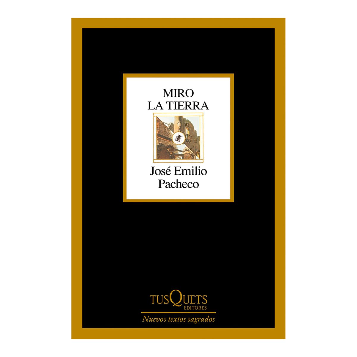 Miro La Tierra (Poesia) / I Look at the Ground (Poems)