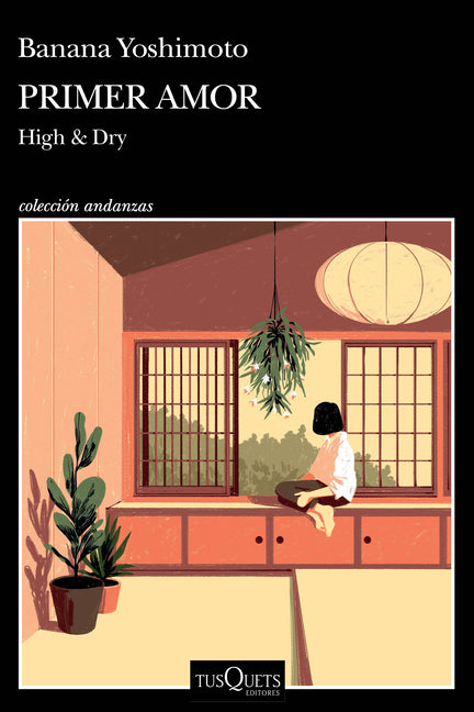 Primer Amor (Novela) / High and Dry (a Novel)