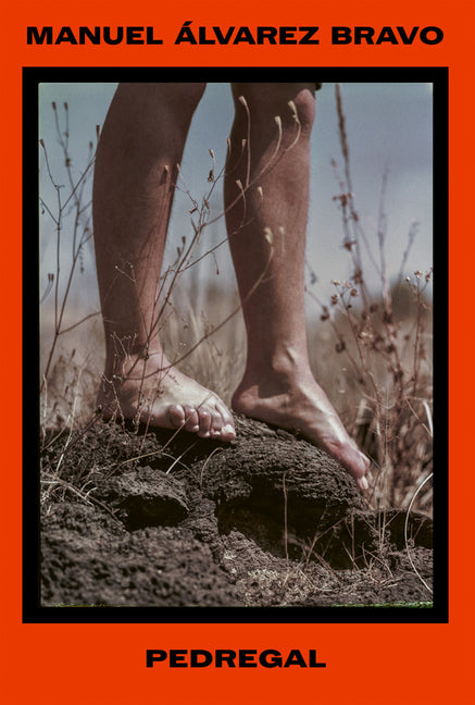 Manuel Alvarez Bravo: Pedregal: Stone and Memory