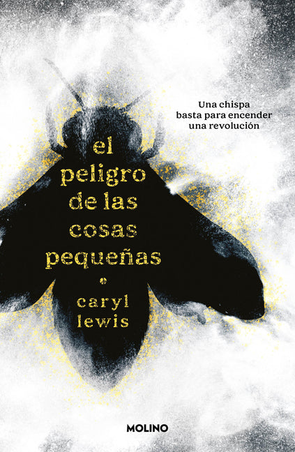 El Peligro de Las Cosas Pequenas / The Danger of Small Things