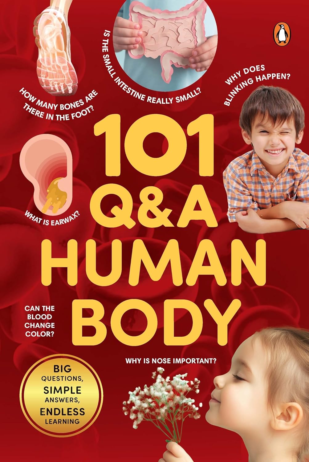 101 Q&A Series - Human Body: Encyclopedia for Kids I Amazing Questions and Answers I Knowledge Book with Simple Explanations & Bright Pictures Stem Le