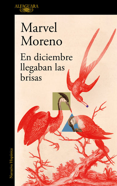 En Diciembre Llegaban Las Brisas / The Breezes Arrived in December