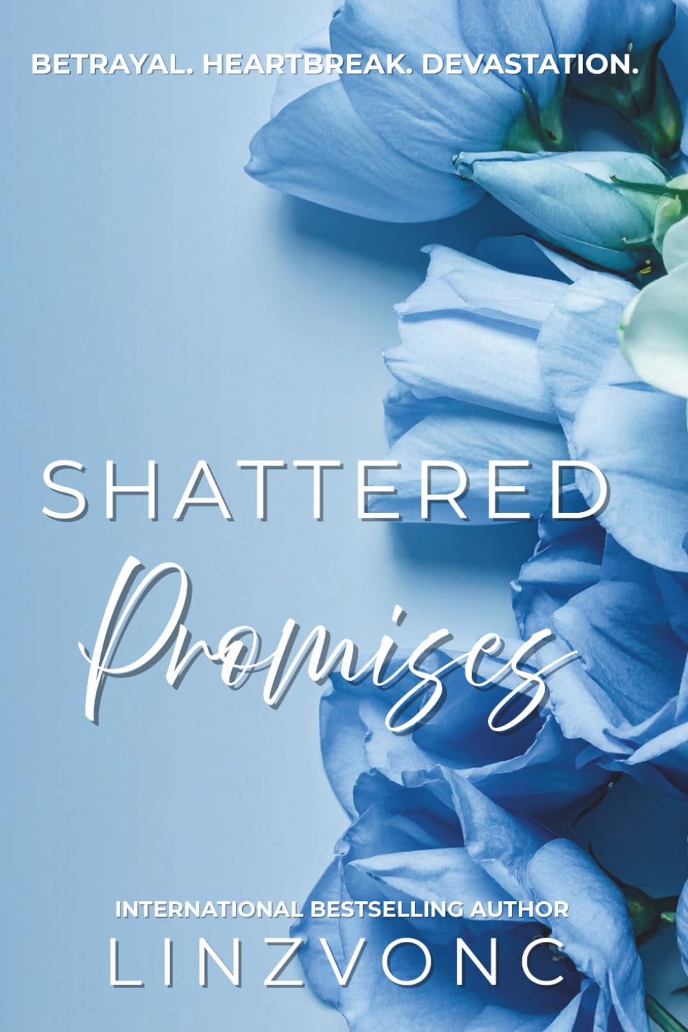 Shattered Promises: A Marriage Betrayal Romance