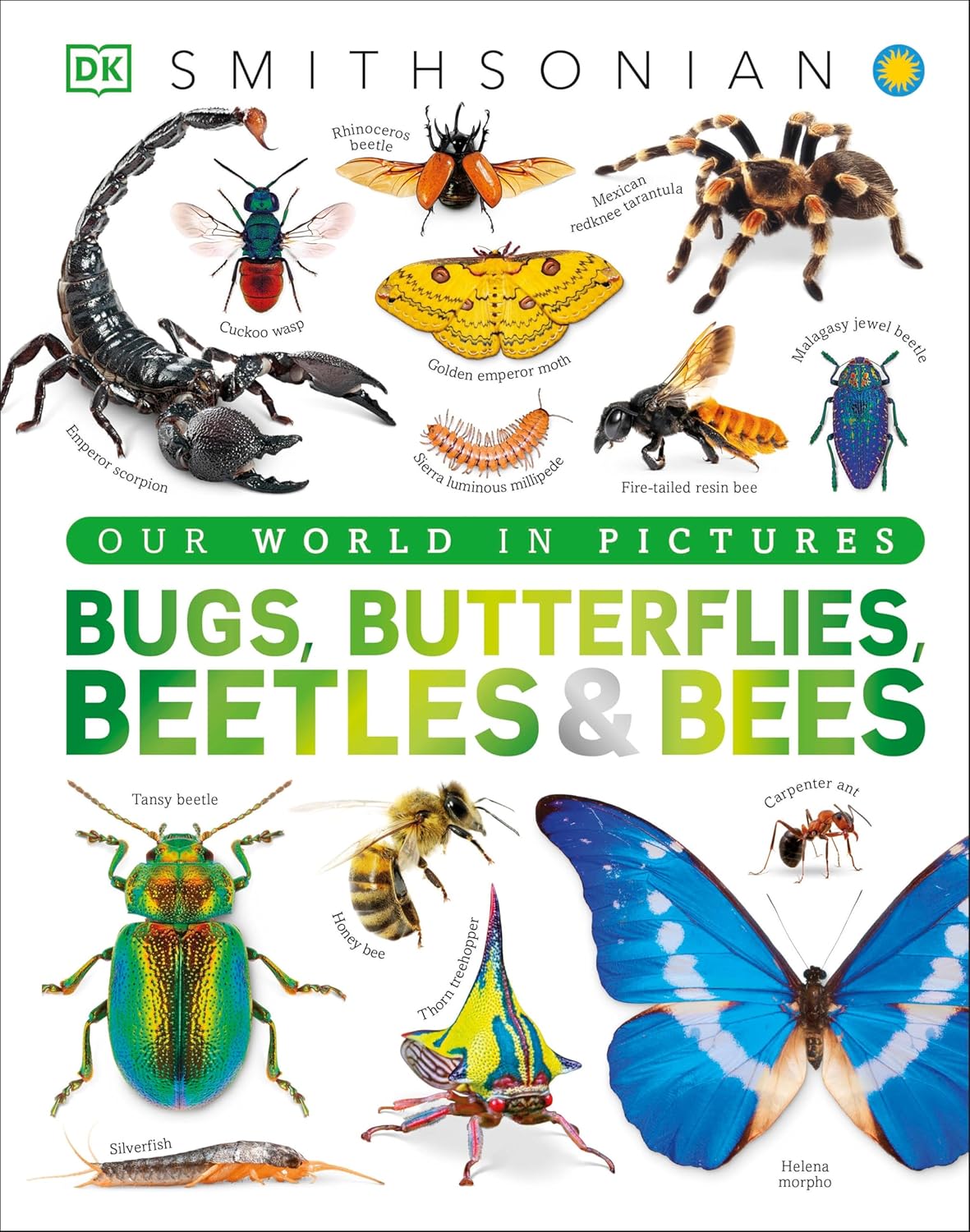 Our World in Pictures Bugs, Butterflies, Beetles and Bees