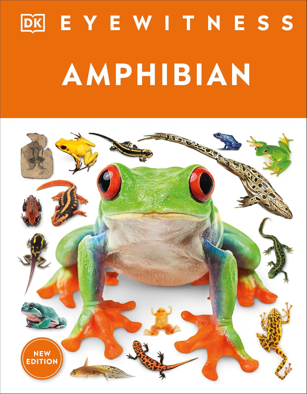 Eyewitness Amphibian