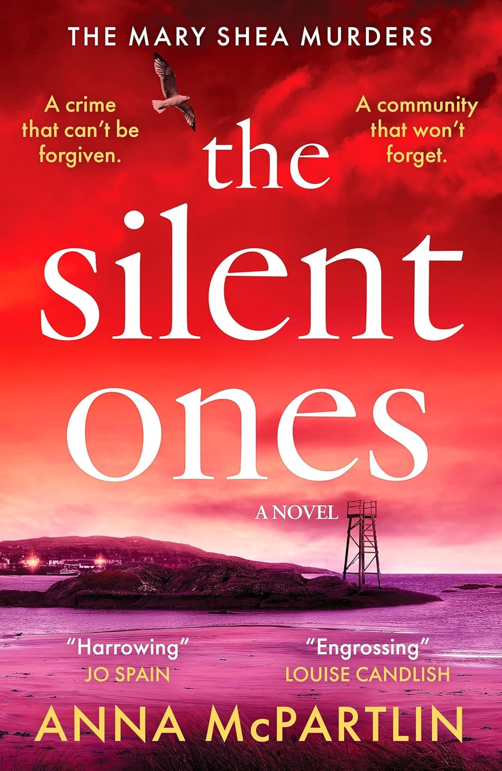 The Silent Ones: An Unmissable Irish Crime Thriller from an International Bestseller