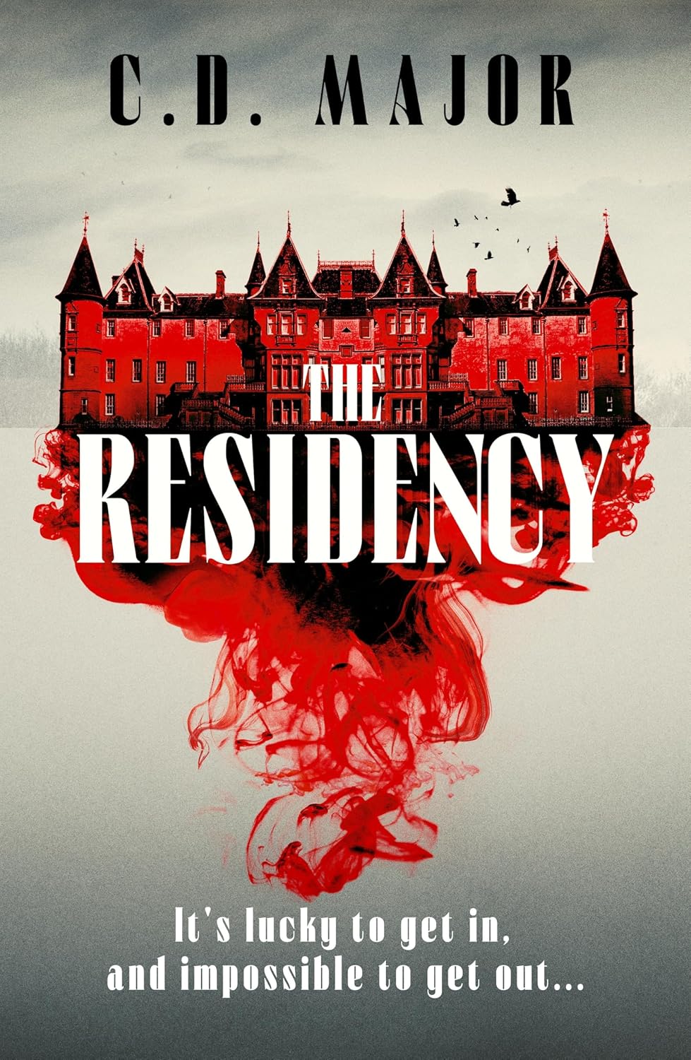 The Residency: A Gothic Suspense Novel Set on a Remote Scottish Island That Will Keep You Up All Night