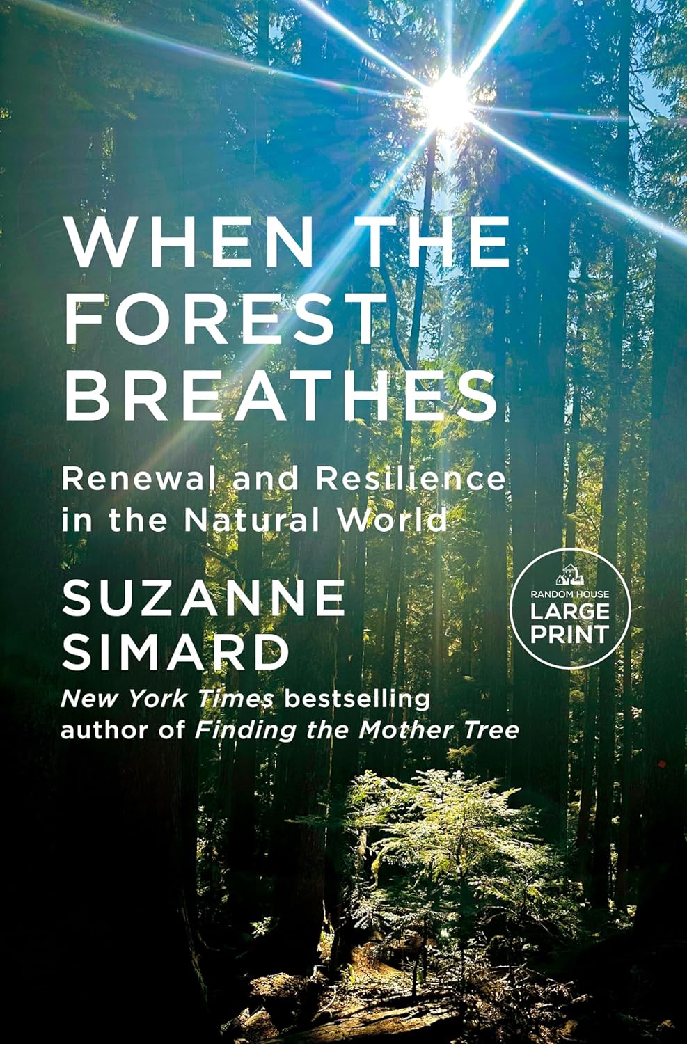 When the Forest Breathes: Renewal and Resilience in the Natural World