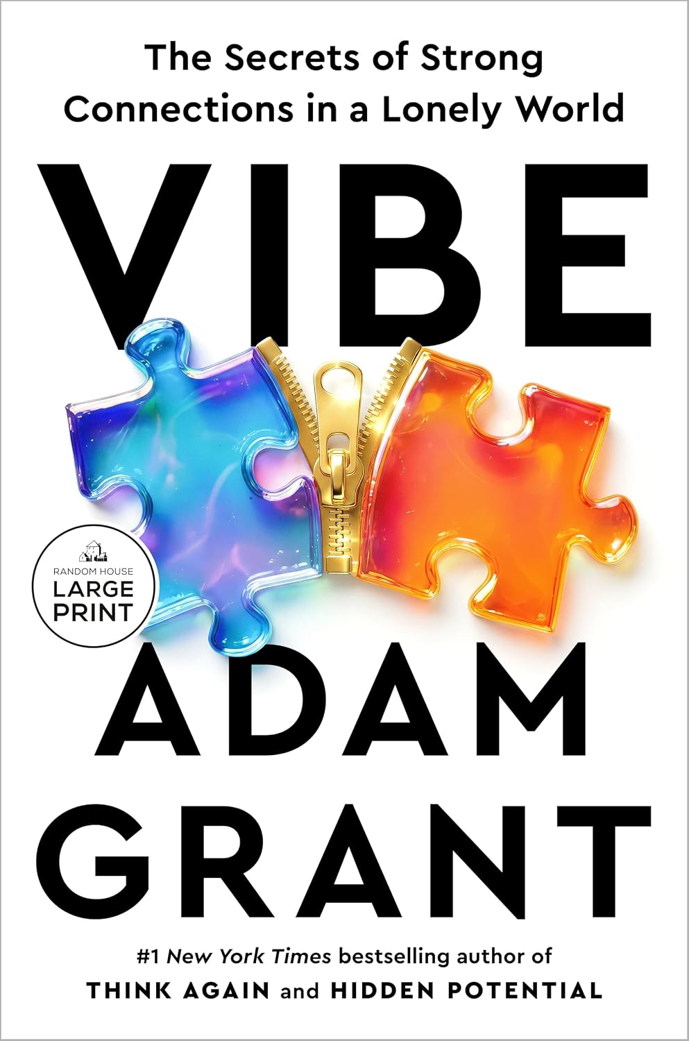 Vibe: The Secrets of Strong Connections in a Lonely World