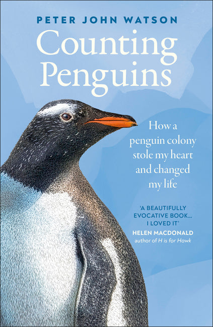 Counting Penguins: How a Penguin Colony Stole My Heart and Changed My Life