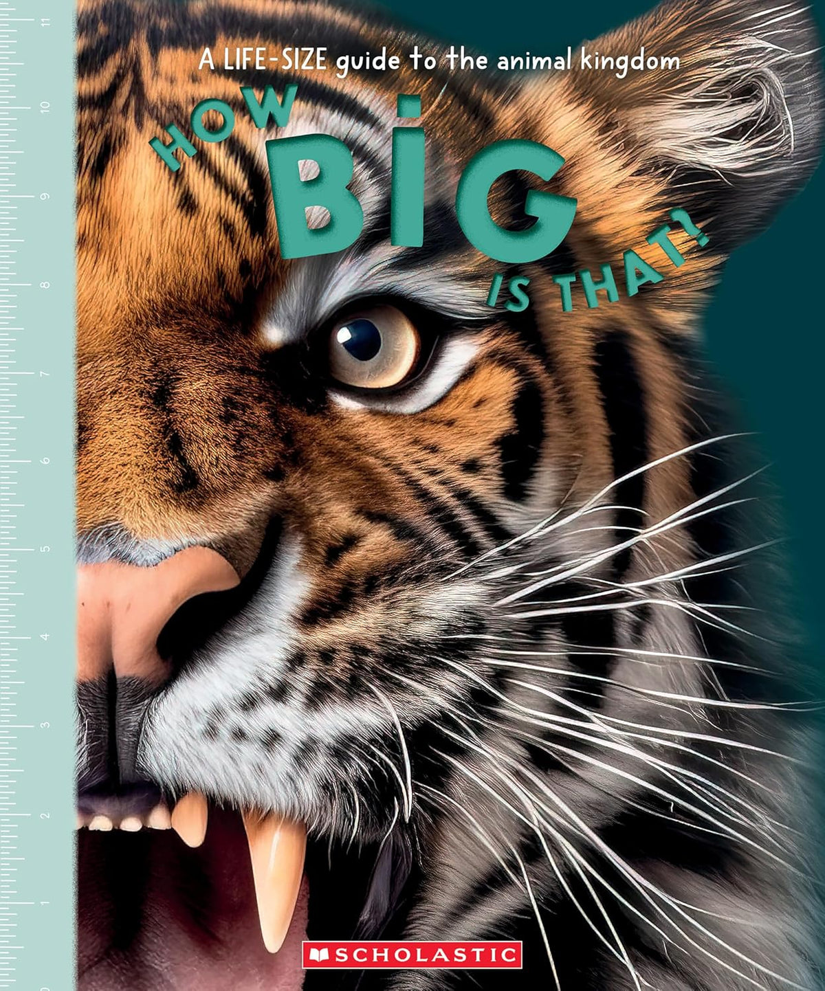 How Big Is That?