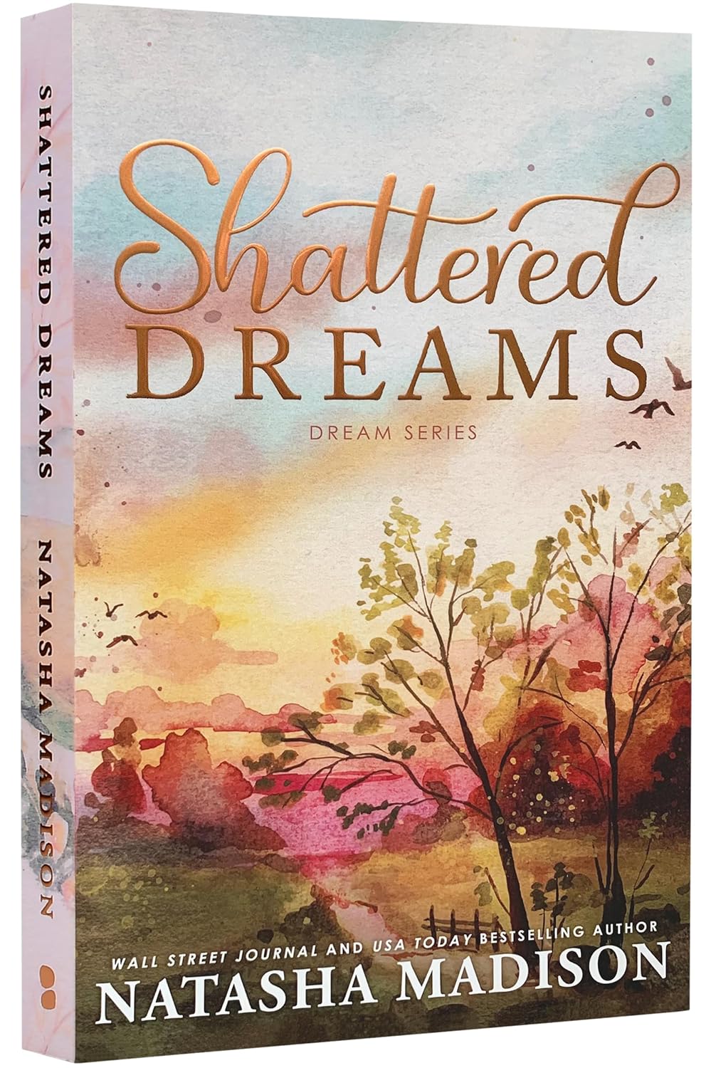 Shattered Dreams