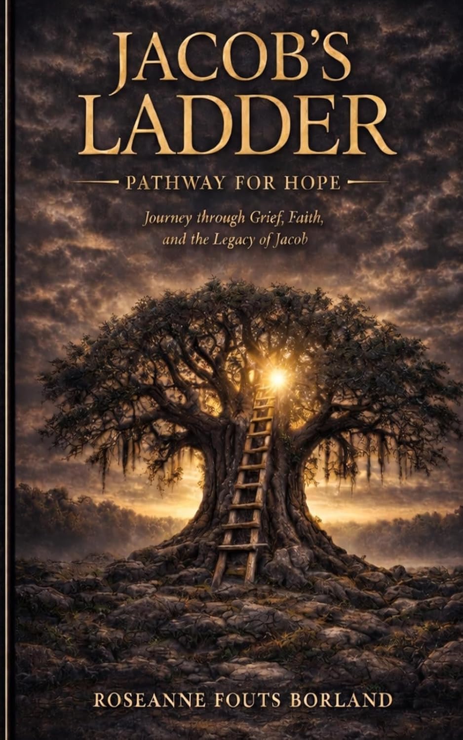 Jacob's Ladder - Pathway for Hope: Journey Through Grief, Faith, and the Legacy of Jacob
