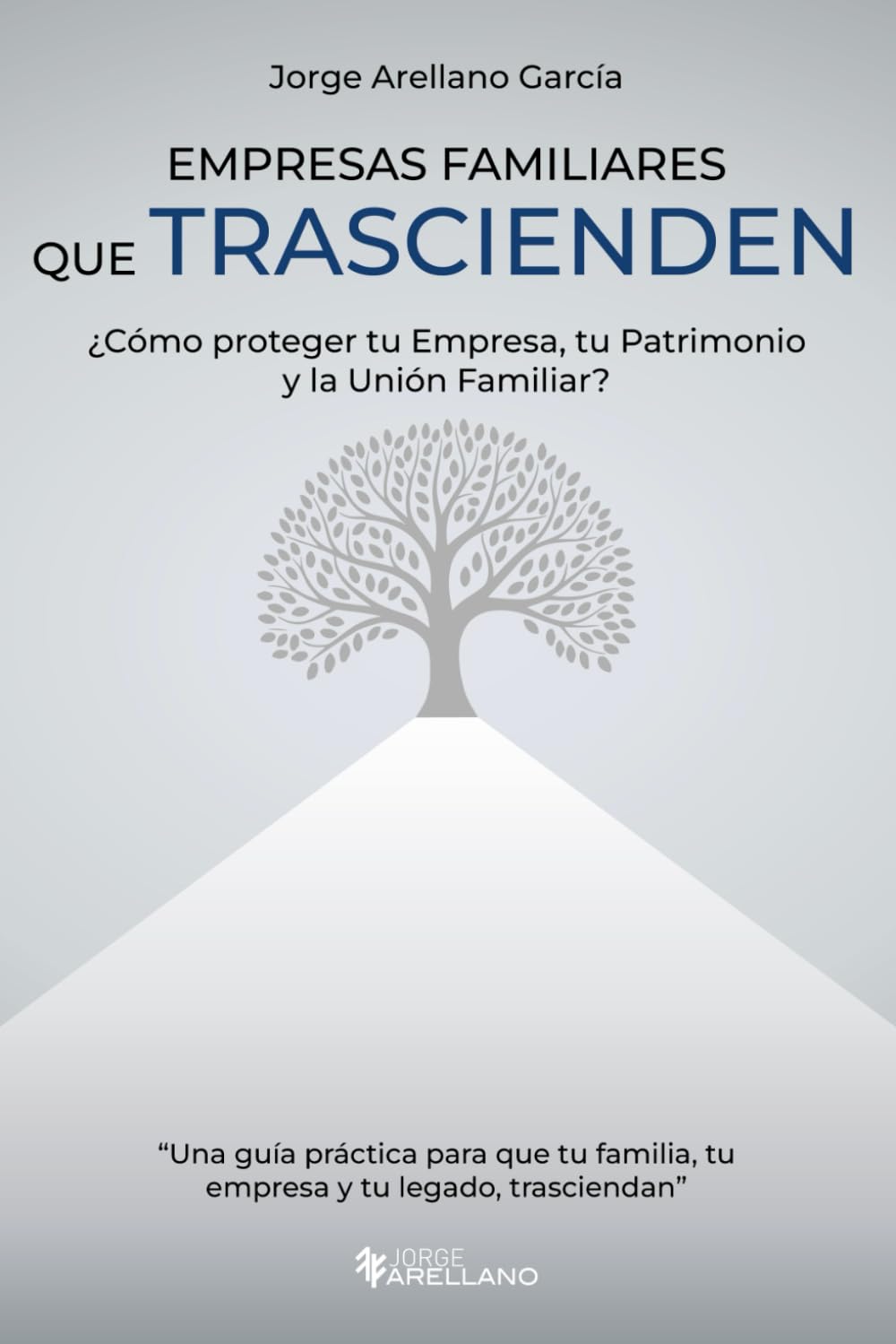 Empresas Familiares que Trascienden: ?Como proteger tu Empresa, tu Patrimonio y la Union Familiar?
