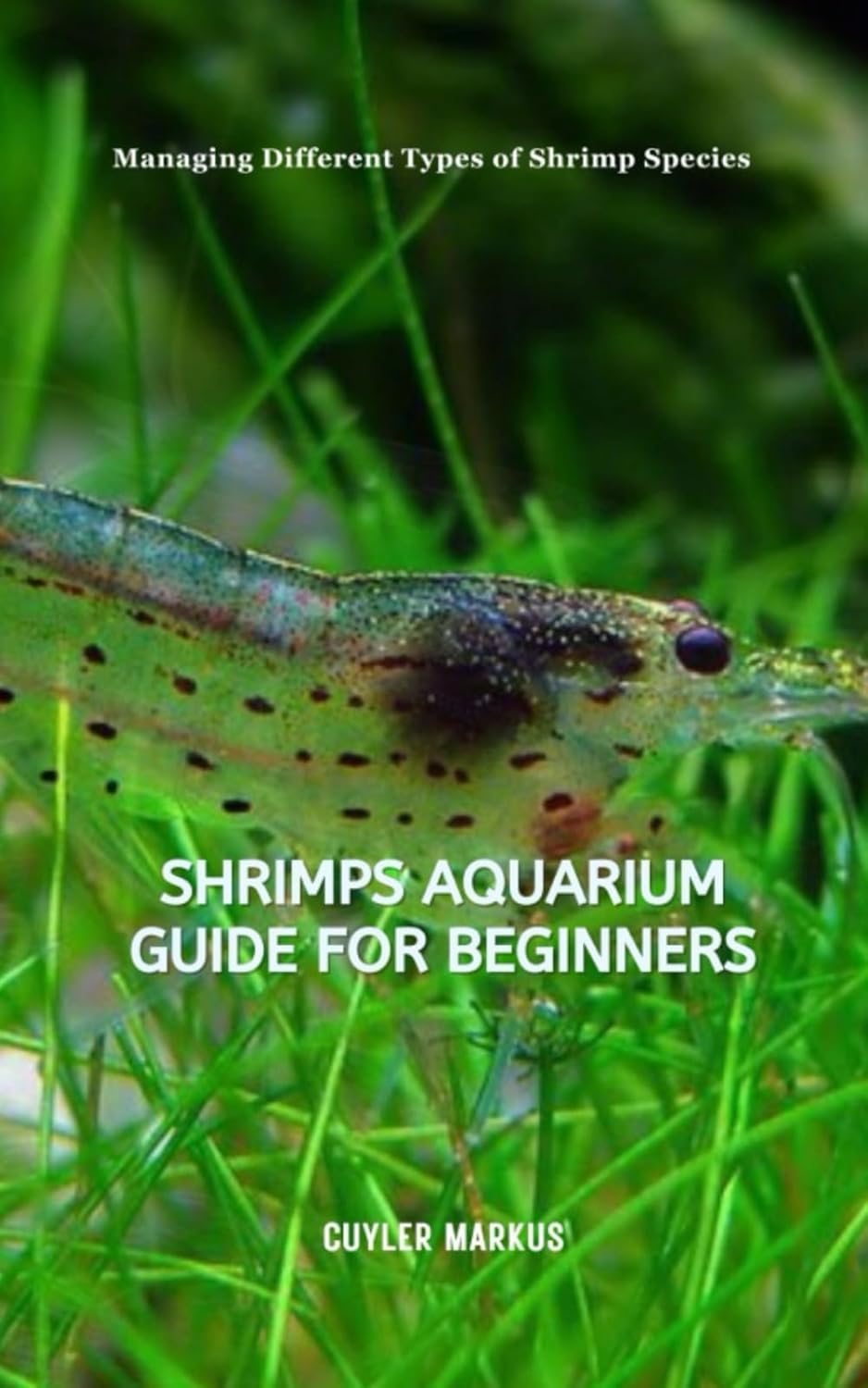 Shrimps Aquarium Guide for Beginners: Managing Different Types of Shrimp Species