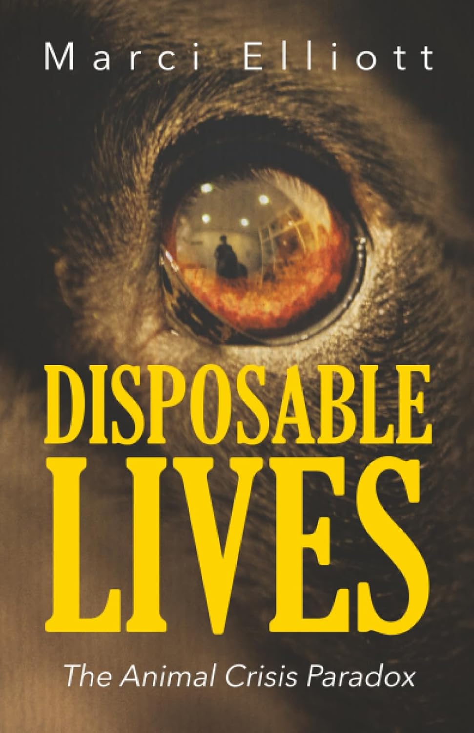 Disposable Lives: The Animal Crisis Paradox