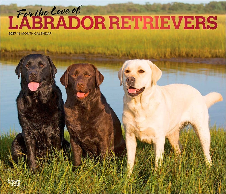 For the Love of Labrador Retrievers 2027 14 X 24 Inch (Hanging) Monthly Deluxe Wall Calendar Foil Stamped Cover Plastic-Free