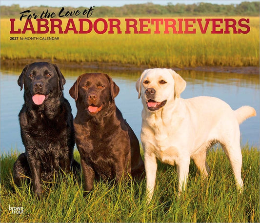 For the Love of Labrador Retrievers 2027 14 X 24 Inch (Hanging) Monthly Deluxe Wall Calendar Foil Stamped Cover Plastic-Free