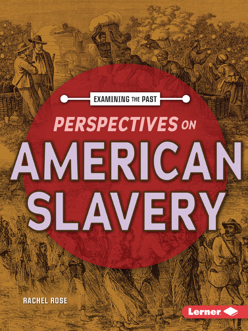Perspectives on American Slavery
