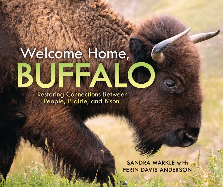 Welcome Home, Buffalo: Restoring Connections Between People, Prairie, and Bison