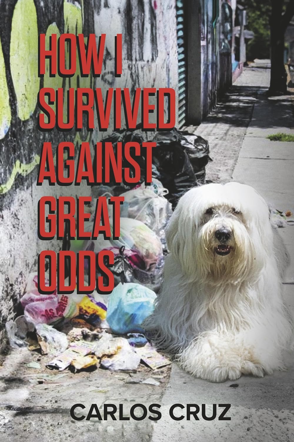How I Survived Against Great Odds