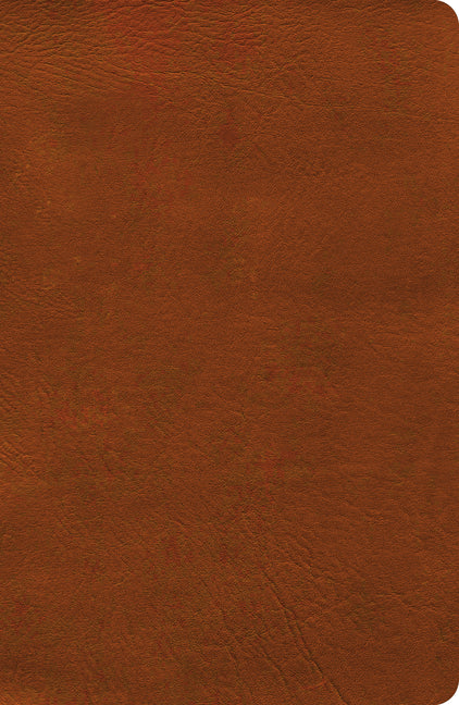 NASB Verse-By-Verse Reference Bible, Burnt Sienna Leathertouch