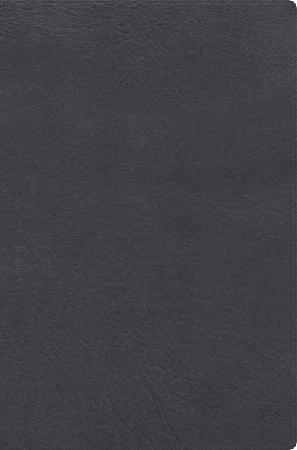 Rvr 1960 Biblia de Estudio Letra Gigante, Gris, Simil Piel Con Indice
