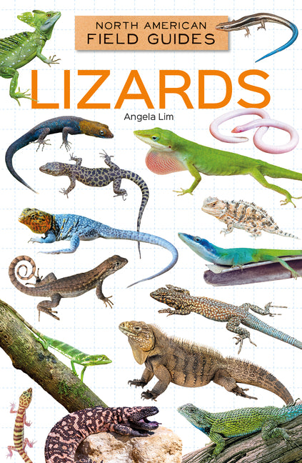 Lizards