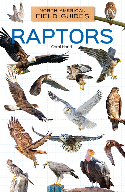 Raptors