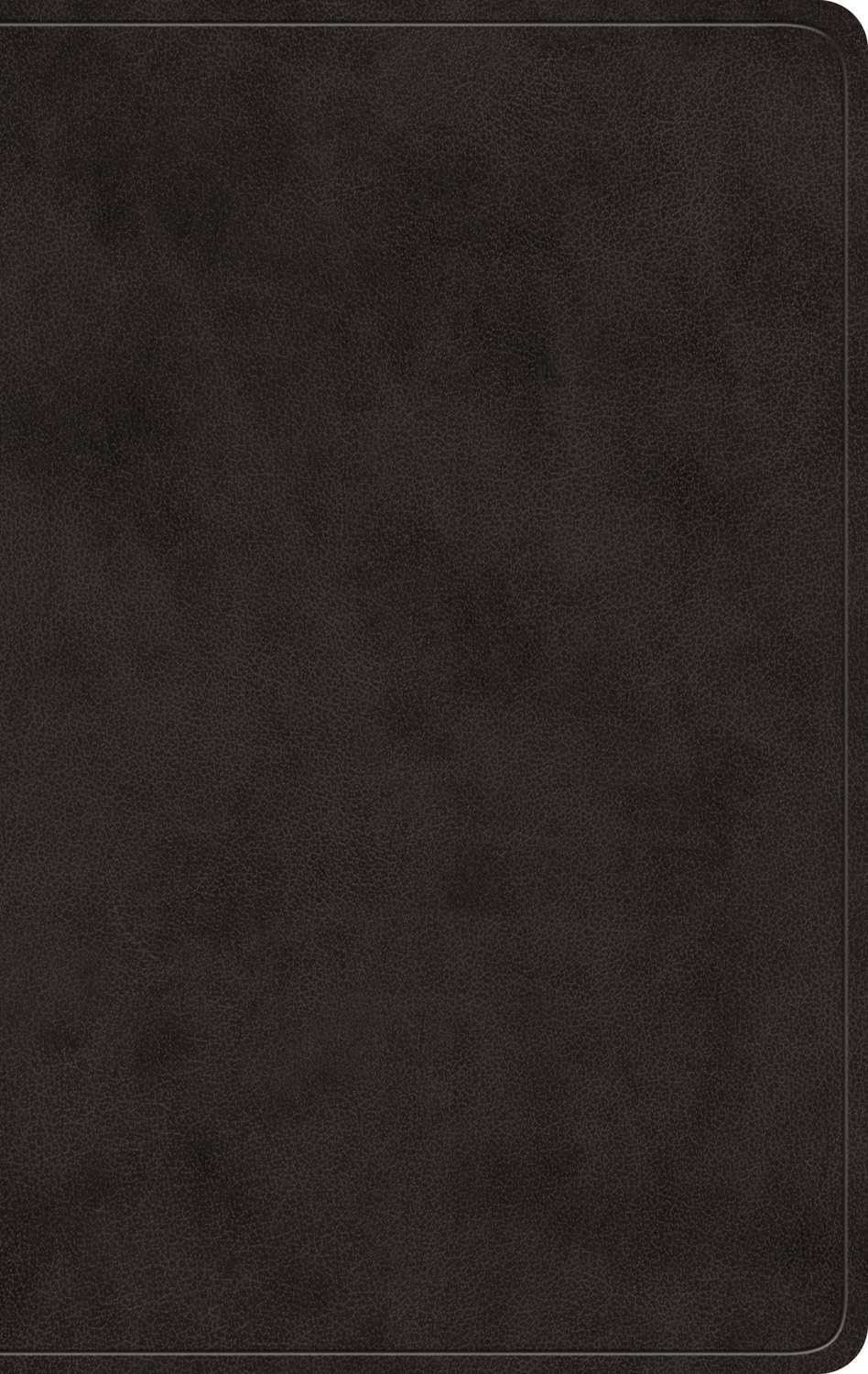 ESV Giant Print Value Personal Size Bible (Trutone, Black)