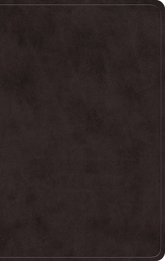 ESV Giant Print Value Personal Size Bible (Trutone, Black)