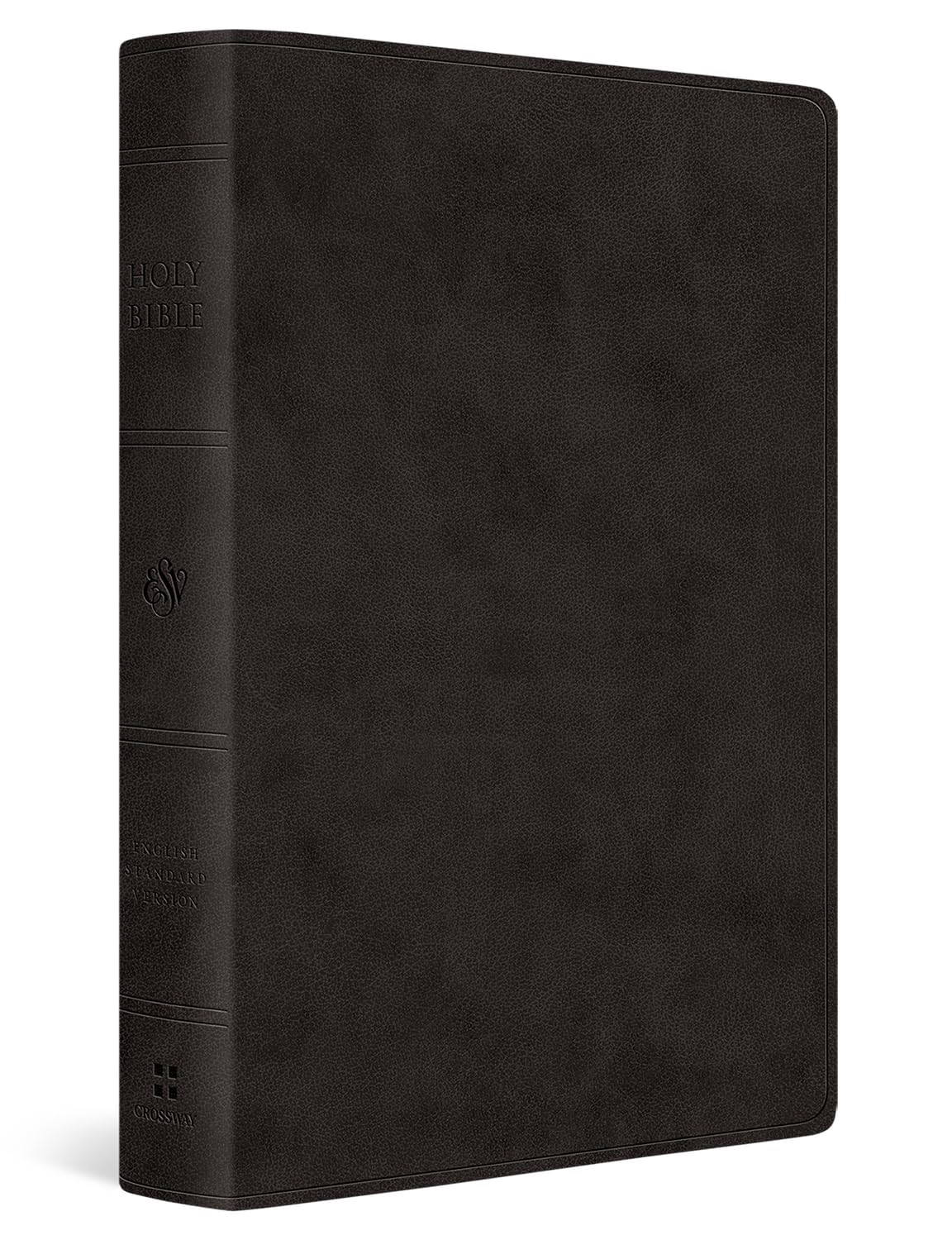 ESV Giant Print Value Thinline Bible (Trutone, Black)