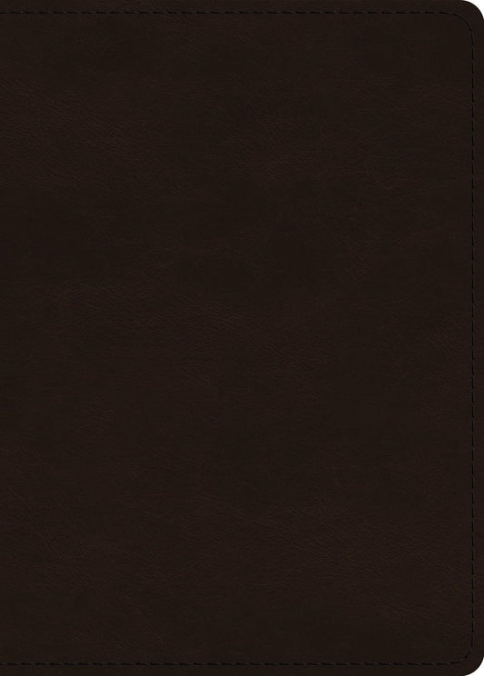 ESV Large Print Value Personal Size Bible (Trutone, Deep Brown)