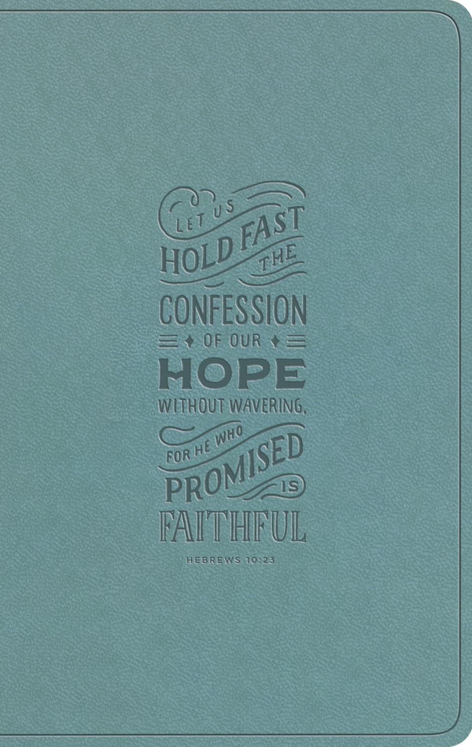 ESV Large Print Value Thinline Bible (Trutone, Paris Sky, Hebrews 10:23 Design)