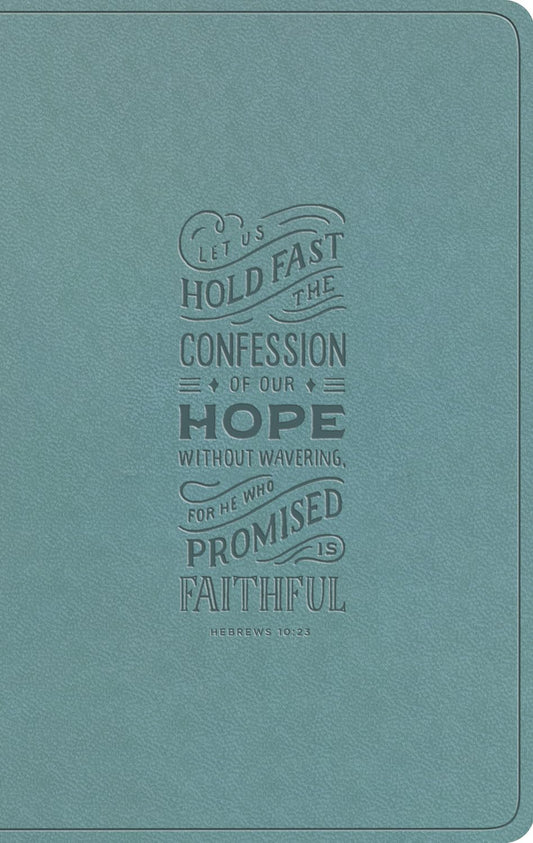 ESV Large Print Value Thinline Bible (Trutone, Paris Sky, Hebrews 10:23 Design)