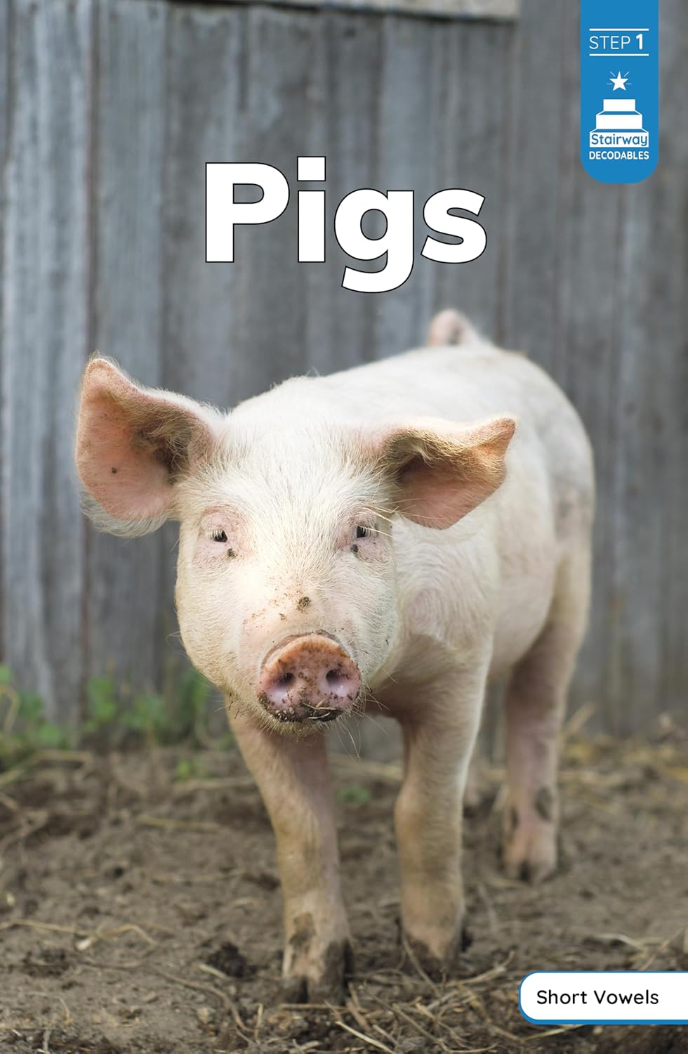 Pigs