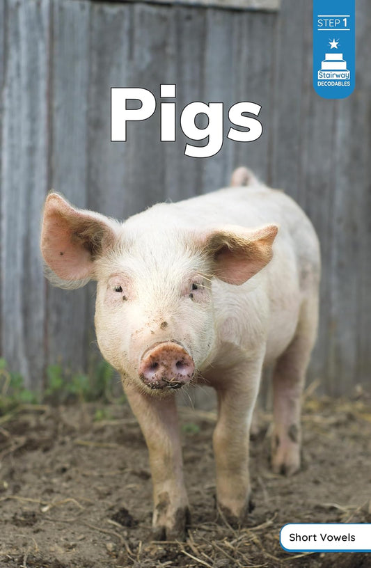 Pigs