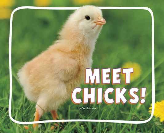 Meet Chicks!