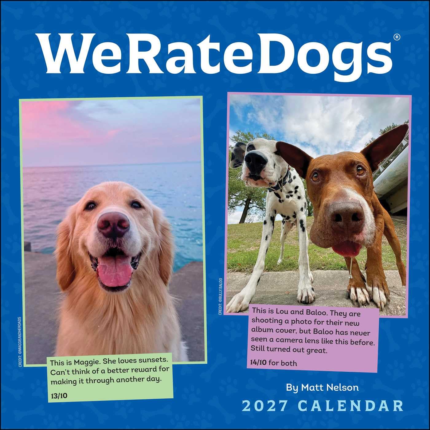 Weratedogs 2027 Wall Calendar