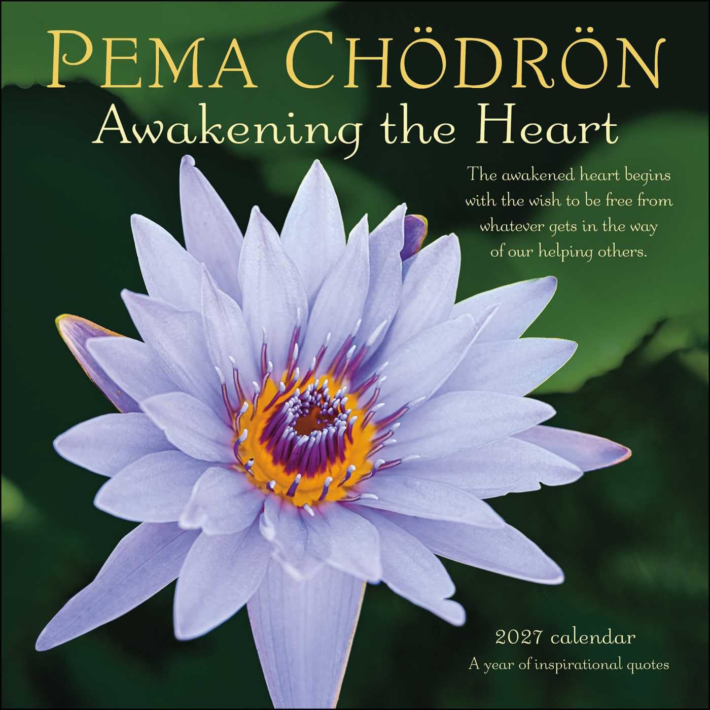 Pema Chodron 2027 Wall Calendar: Awakening the Heart--A Year of Inspiring Quotes