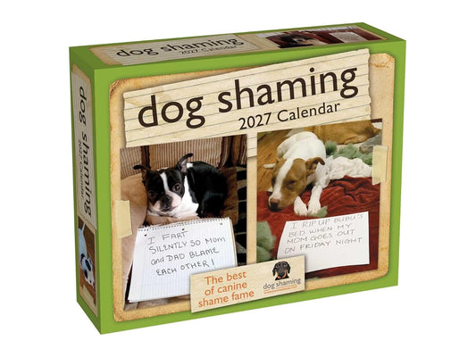 Dog Shaming 2027 Day-To-Day Calendar