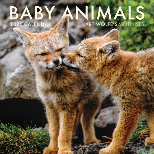 2026 Baby Animals Wall Calendar: Art Wolfe's Wild Lives